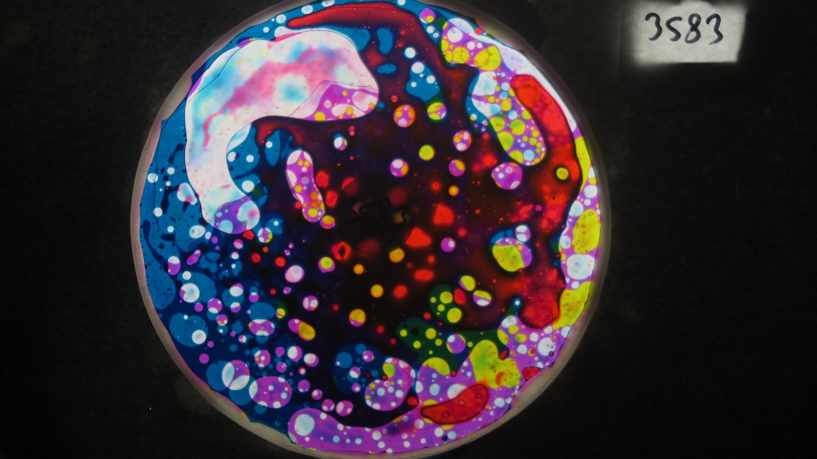 BV3583 bubble vision oil wheel